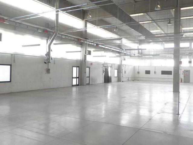 AREA EDIFICABILE in VENDITA a CECINA