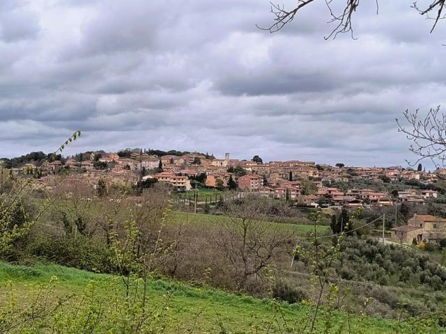 AREA EDIFICABILE in VENDITA a MURLO VESCOVADO