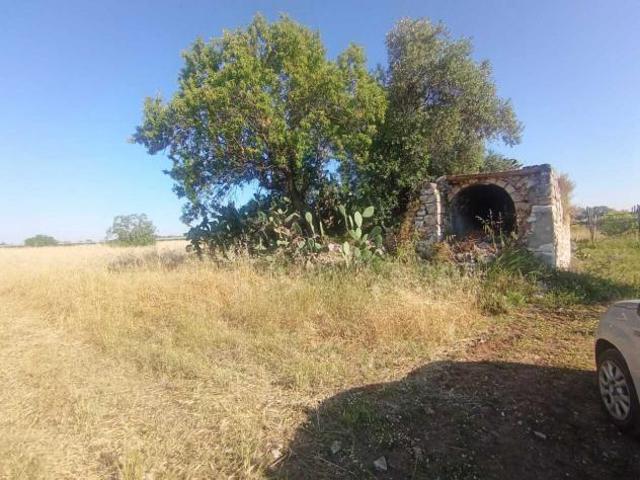 Area verde in vendita a Triggiano