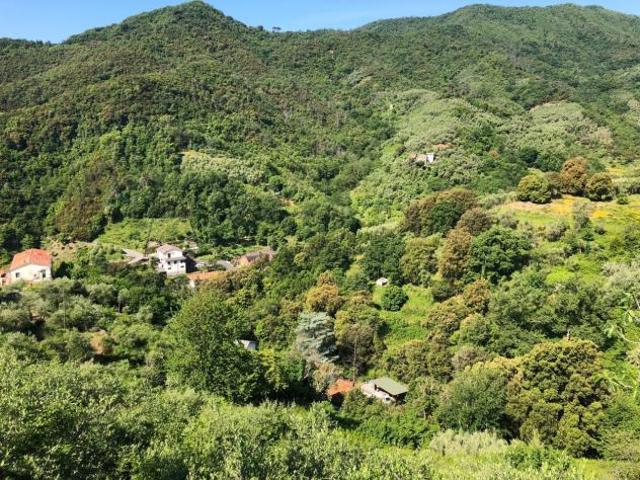 Area verde in vendita a Leivi