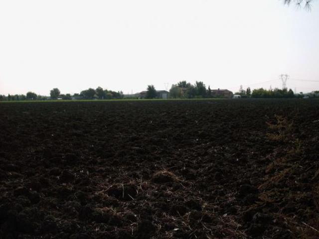 Area verde in vendita a Rimini