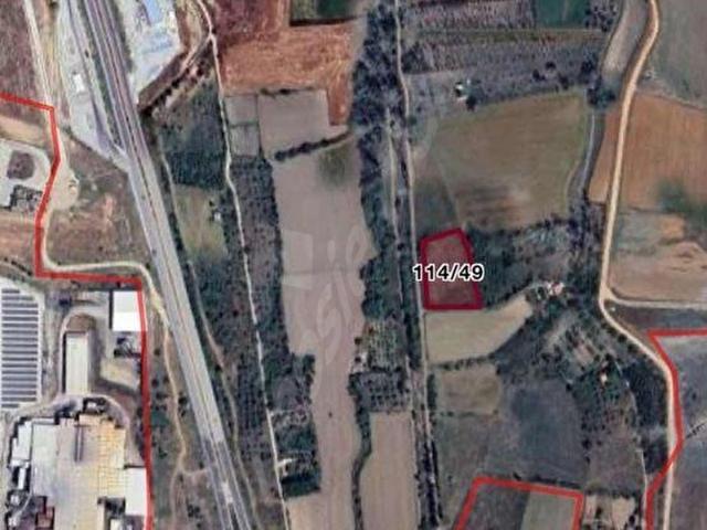 ARENADAN ÖZBAĞ ÖRCÜNDE TARLA