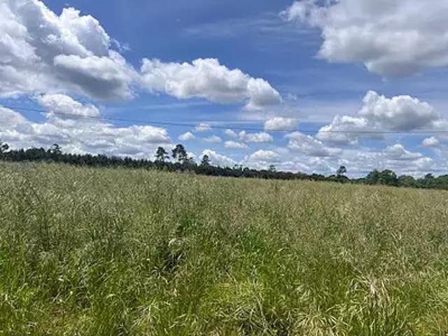 Arengosse 40110 Achat / Vente terrain