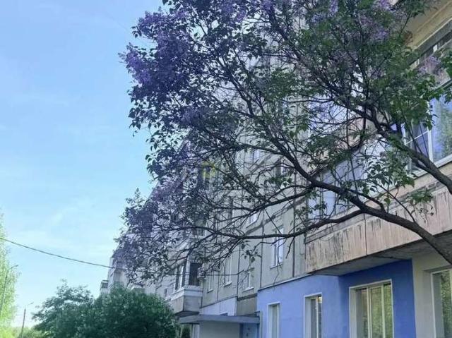 аренда квартира Ивняки посёлок Центральная улица, 9