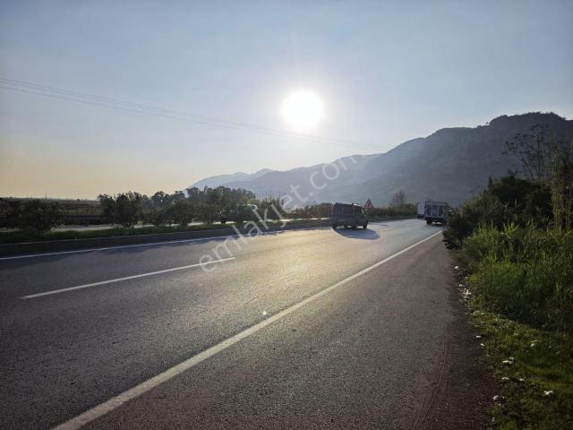 Argavlı Yolu Üzerinde Yolla Sıfır, 700 M² Kiralık Dükkan