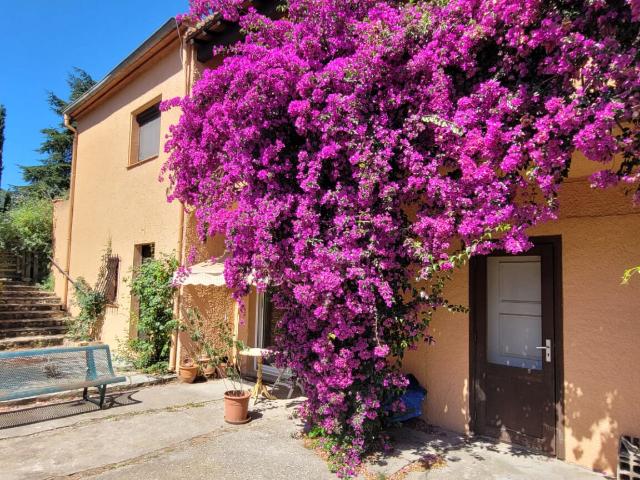 Argelès sur Mer Vente Maison 66