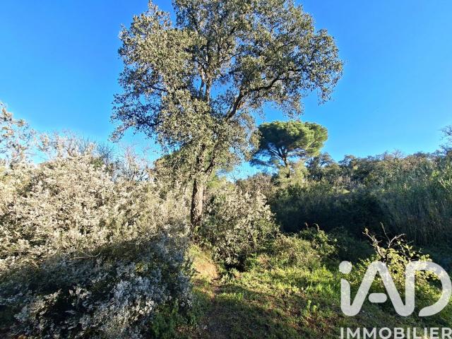 Argelès sur Mer Vente Terrain 66