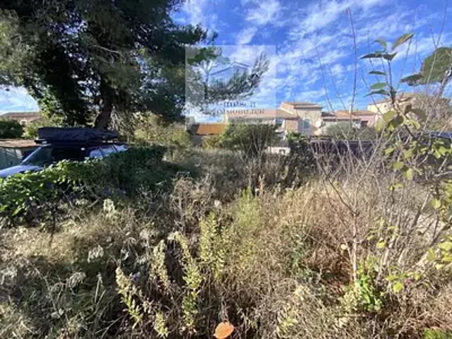 Argeliers 11120 Achat / Vente maison 1 pièce t1