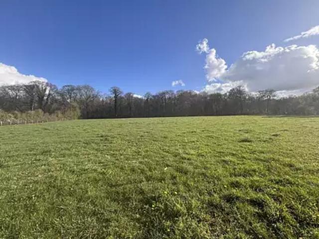 Argentan 61200 Achat / Vente terrain