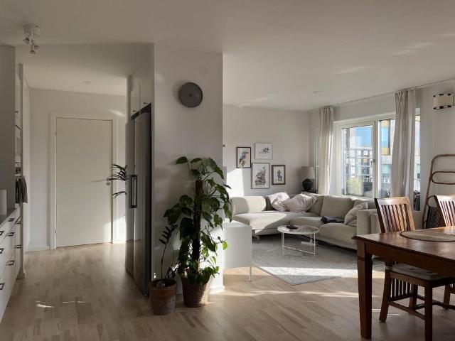 Argogatan, Malmö