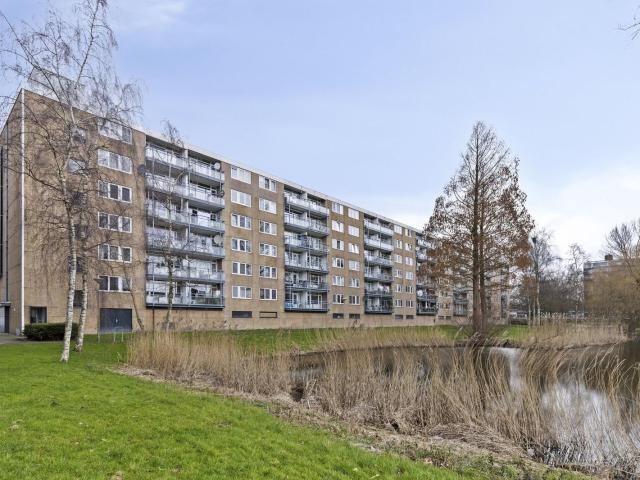 Argostraat, 110, 2402CA, Alphen Aan Den Rijn, Zuid Holland 2402CA
