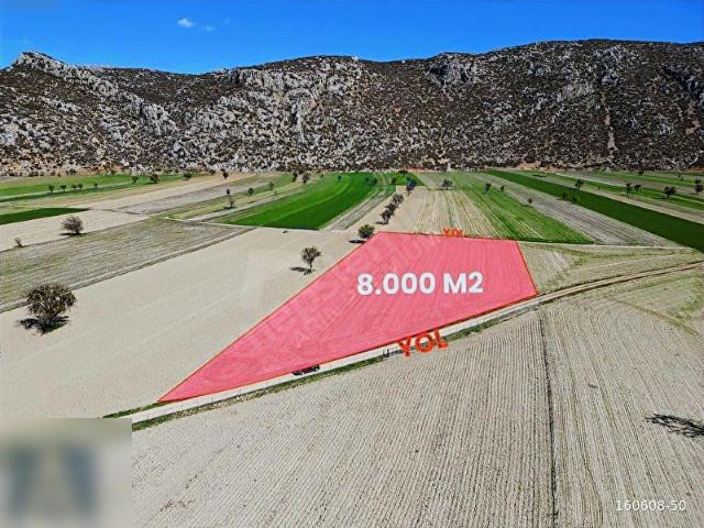 ARIN EMLAK TAN KARGIN MAH 8000 TABAN ARAZİ
