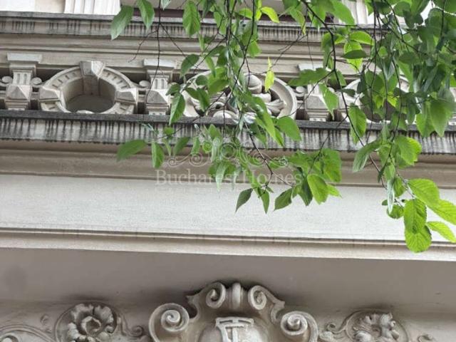 Aristocratic Restored Mansion on Two Levels Icoanei Gardens