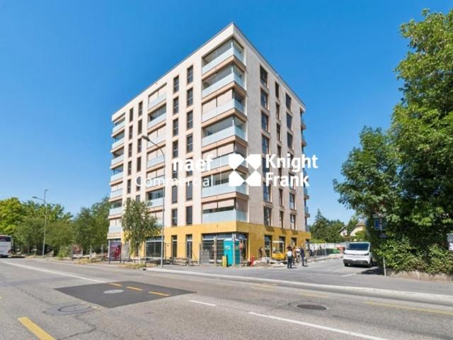 Arkade von ca. 191 m² zu vermieten – Petit Saconnex