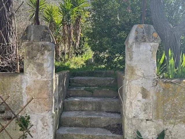 Arles Vente Maison 13