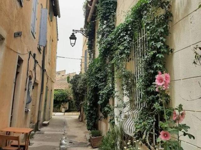 Arles Studio Sympa, calme, dans rue piétonne fleurie