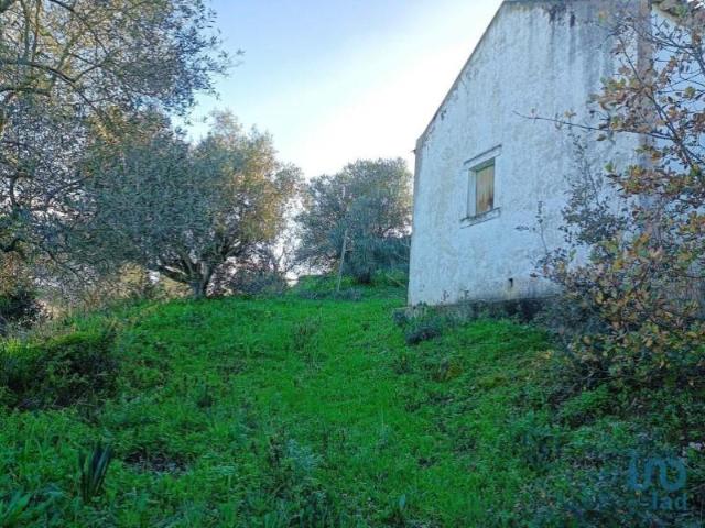 Arruda dos Vinhos Arruda dos Vinhos 91855811