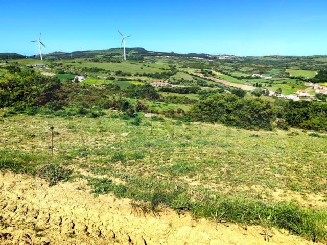 Arruda dos Vinhos Arruda dos Vinhos LS87043019