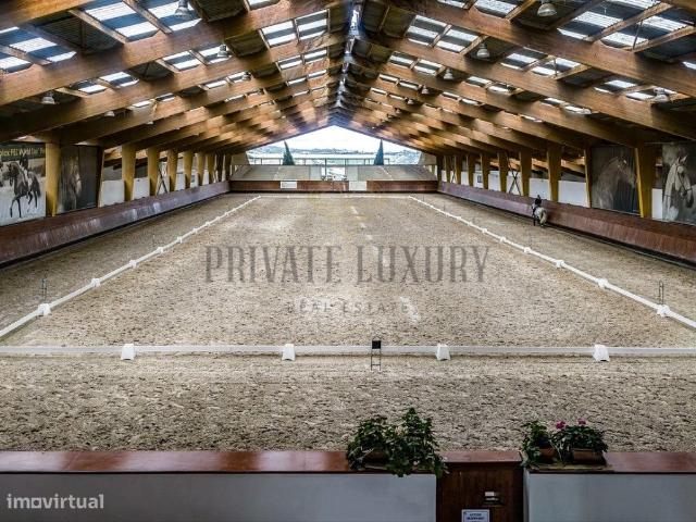 ARRUDA DOS VINHOS | HERDADE ESCOLA DE DRESSAGE EQUITAO PICADEIROS