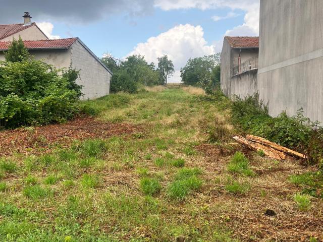 Lunéville Vente Terrain 54