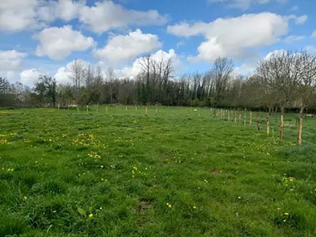 Arras 62000 Achat / Vente terrain
