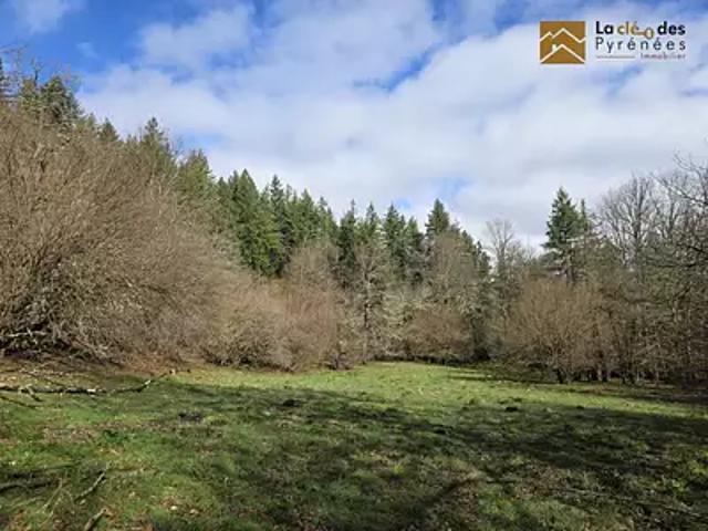 Arras en Lavedan 65400 Achat / Vente terrain