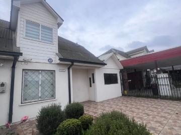 Arrendamos amplia casa en avenida 21 norte v. bicentenario