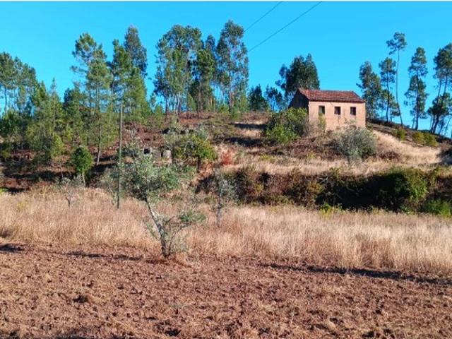 Arrendamento de Construção Rural com Terreno Rústico Castelo de Mação 5.520 m²