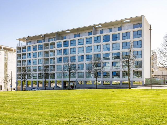 Arrendamento T1 Novo nas Antas Porto