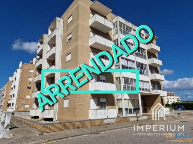 Arrendamento T3 Albergaria a Velha | 26084059869