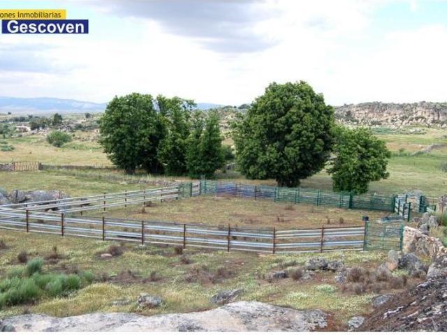 ARRENDAMIENTO DE PASTOS 40 HTAS. AGUA, CHARCAS, CERCADOS Y VACUNADERO