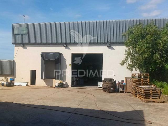 Arrendar Armazém 1200m2 e logradouro, Sintra