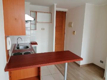 Arriendo 1 d, 1 b, 1 bodeg, san francisco 294