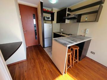Arriendo Amoblado 1 Dormitorio Metro Sta Isabel