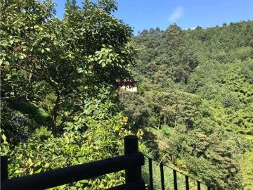ARRIENDO APARTAESTUDIO EN SABANETA VEREDA SAN JOSE