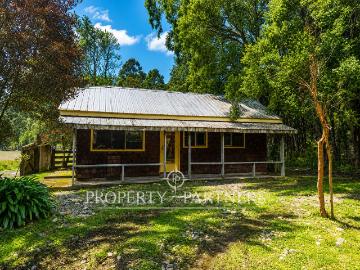 Arriendo cabaña amoblada con bosque nativo y salida al Lago Llanquihue