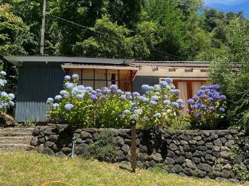 ARRIENDO CABAÑA CON ACCESO PRIVADO AL LAGO
