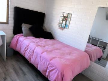 ARRIENDO CASA PUENTE ALTO 2D 1B EXCELENTE UBICACION COMERCIAL