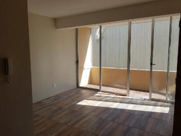 Arriendo cómodo departamento en viña del mar