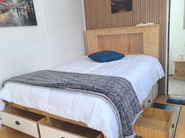 Arriendo de Arriendos Amueblados en Concepción | Mini Departamento amoblado Concepción Centro 1 Dormitorios por CLP 350000.00