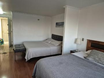 Arriendo de Arriendos Amueblados en Providencia | Departamento amoblado 2 camas Mensual/Diario, Metro Pedro de Valdivia, Providencia 1 Dormitorios por CLP 699000.00
