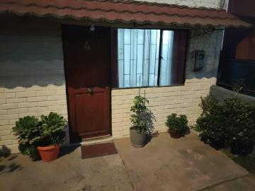 Arriendo de Casas en Viña del Mar | Se arrienda casa en El Olivar, Viña del mar 3 Dormitorios por CLP 320000.00