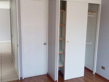 Arriendo de departamentos en arica | arriendo departamento condominio las palmas 3 dormitorios por clp 520000.00