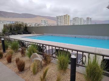Arriendo de Departamentos en Iquique | Cód 107: Dpto Amoblado Edificio Paradise Playa Brava 2 Dormitorios por CLP 750000.00
