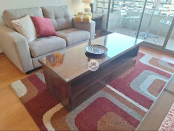 Arriendo de Departamentos en Las Condes | METRO ALCANTARA AMOBLADO 1D 1B E Y B 1 Dormitorios por CLF 23.00