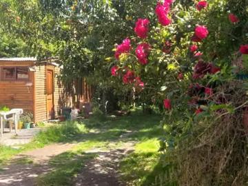 Arriendo de Departamentos en Talcahuano | CABAÑA CENTRO TALCAHUANO 2 Dormitorios por CLP 35000.00