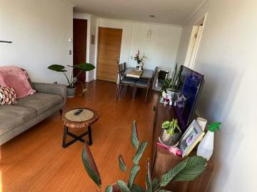 Arriendo de Departamentos en Villarrica | DEPARTAMENTO Supermercado lily 1 Dormitorios por CLP 450000.00