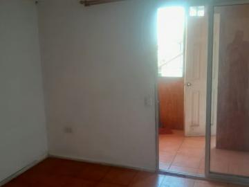 Arriendo de Pieza en La Florida | Pieza independiente Baño Privado, Terraza Lavaplatos Cuentas impecable solida 1 Dormitorios por CLP 250000.00
