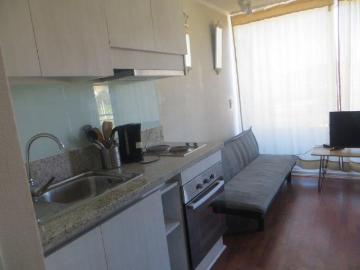 Arriendo Depto 1d