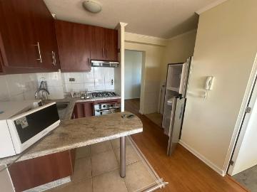 Arriendo depto semi amoblado sector paicaví concepción